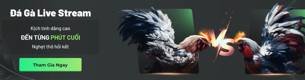 8a809d5ab0db4fa7316809eb1f81be0e