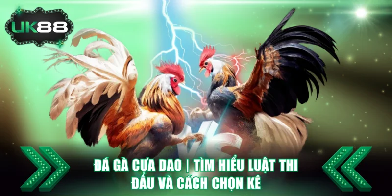 Đá Gà Cựa Dao