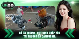 Đá Gà Thomo