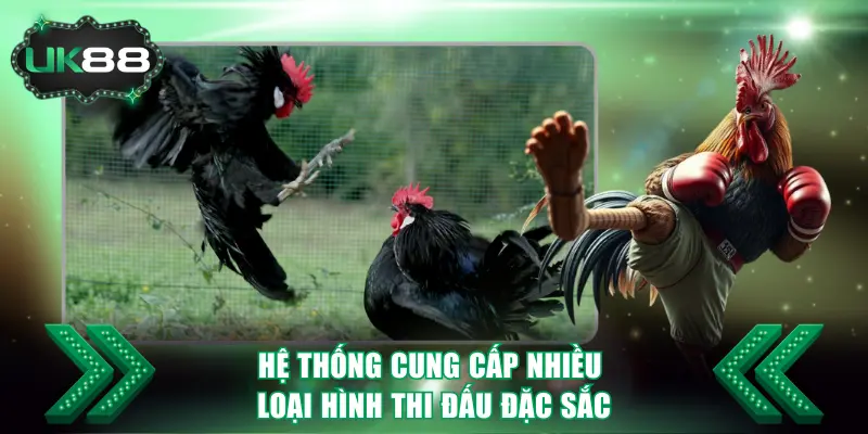 Hệ thống cung cấp nhiều loại hình thi đấu đặc sắc