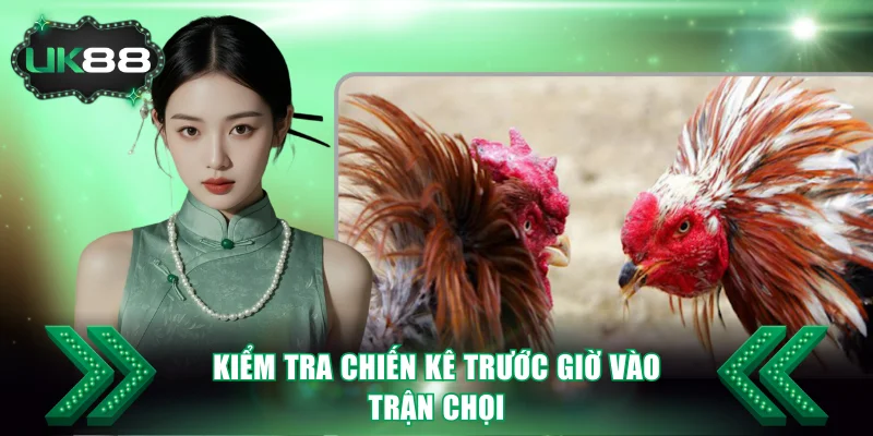 Kiểm tra chiến kê trước giờ vào trận chọi