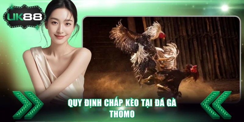 Quy định chấp kèo tại đá gà Thomo