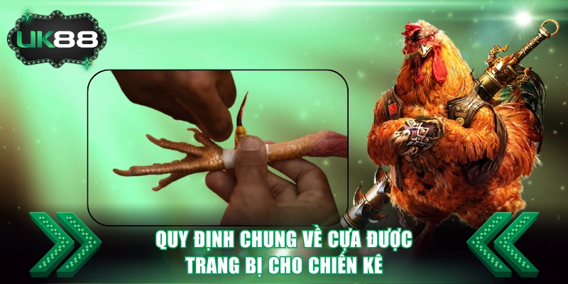 Quy định chung về cựa được trang bị cho chiến kê