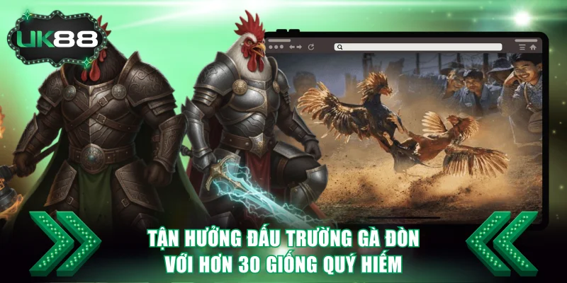 Tận hưởng đấu trường gà đòn bùng nổ với hơn 30 giống quý hiếm